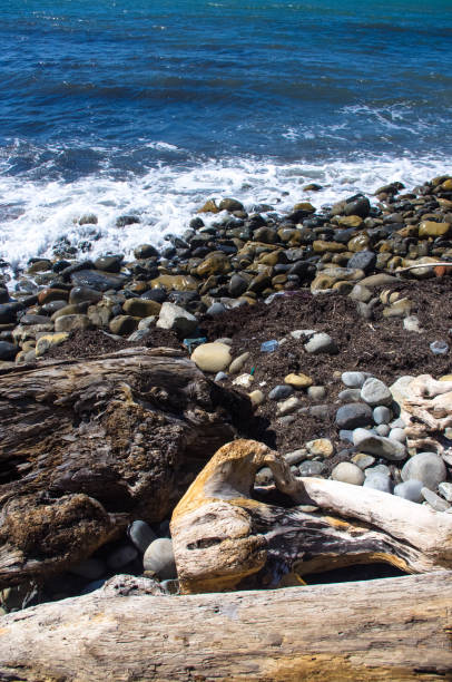 istock rocky sea shore with pebble beach, waves with foam 923079482