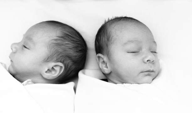 istock Identical twin baby boys sleeping side-by-side on white-monochrome 923082236