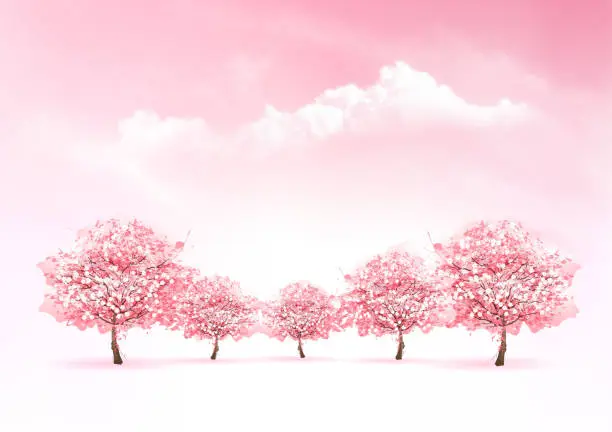 Vector illustration of Spring nature background with a pink blooming sakura tree. Vector.