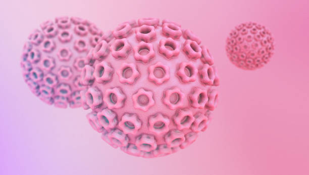 Human papillomavirus (HPV) stock photo