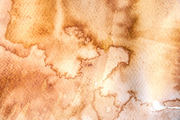 istock abstract watercolor backgrounds by use coffee painted on paper 923103070