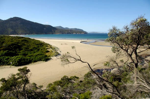 istock Wilsons Promontory National park 923111226