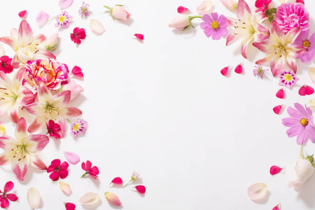 istock summer flowers on white background 923114104