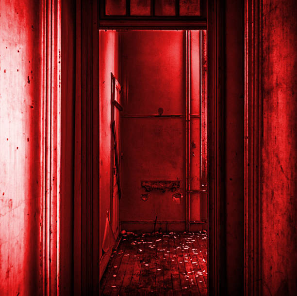 istock Entry to the slaughterhouse 923114208