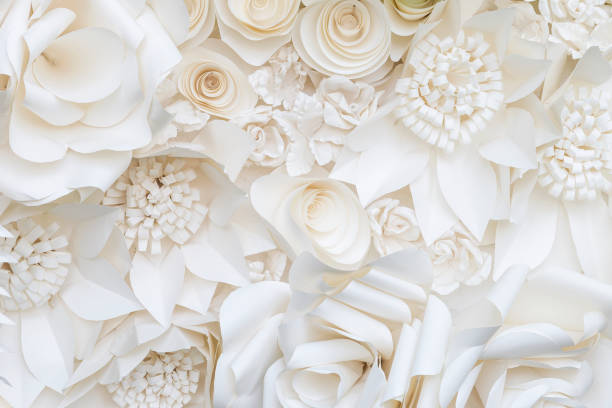 3,800+ White Paper Flowers Stock Photos, Pictures & Royalty-Free Images -  iStock