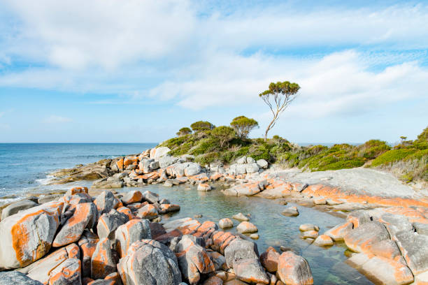 istock Bay of Fires, Tasmania, Australia 923133352