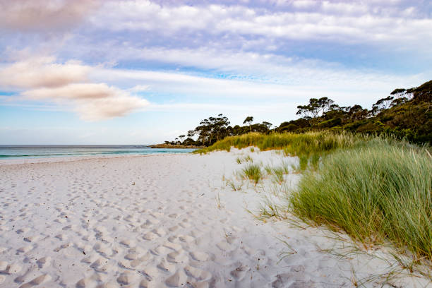 istock Bay of Fires, Tasmania, Australia 923135640
