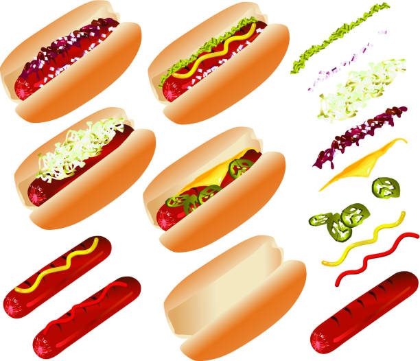 хот-дог - meat bratwurst sausage sauerkraut stock illustrations