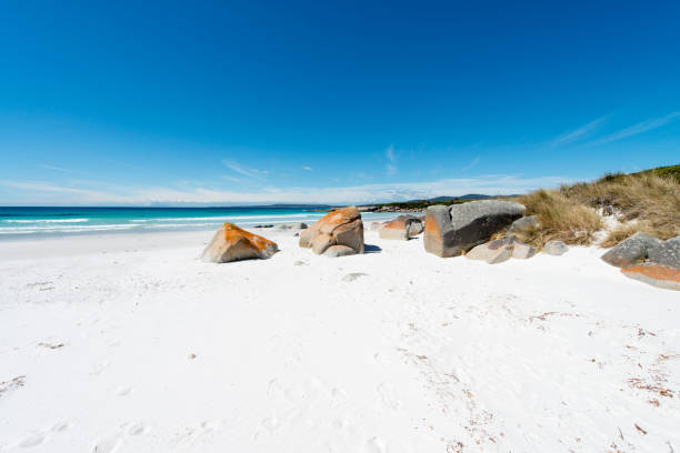istock Bay of Fires, Tasmania, Australia 923136586