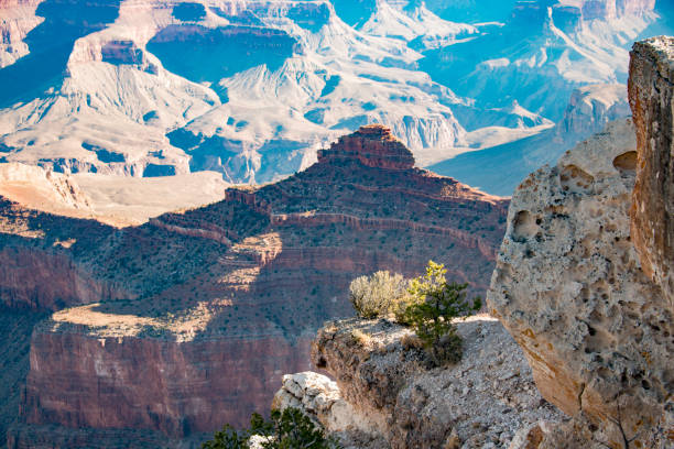 istock Grand Canyon at morning 923136760
