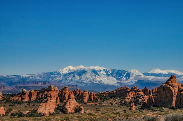 istock Red Rocks and La Salle Mountains, Arches National Park 923136870