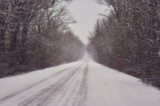 istock beautiful winter landscape with road 923148768