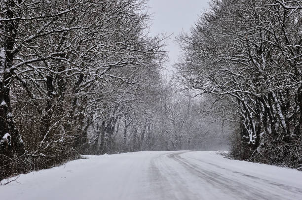 istock beautiful winter landscape with road 923148804