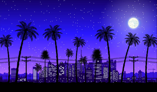 illustrazioni stock, clip art, cartoni animati e icone di tendenza di skyline della città silhouette di notte - miami florida night florida skyline