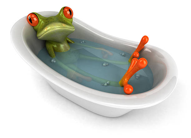 rana in una vasca da bagno - frog three dimensional shape animal green foto e immagini stock