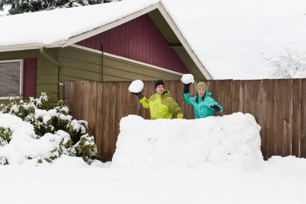 Defensa del fuerte de nieve - foto de stock