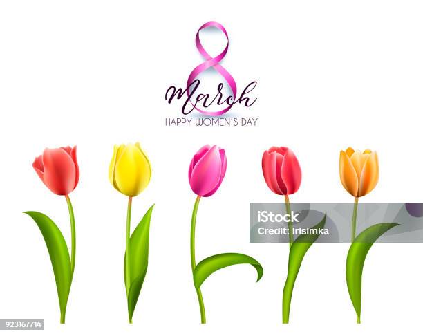 Spring Text With Tulip Flower Vector Illustration Eps10 Stock Illustration - Download Image Now