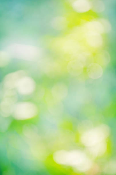istock Abstract bokeh and blurred green nature background 923169838
