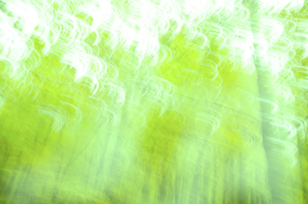 Natural green blurred background. Green abstract bokeh lights on background.  Natural blurred bokeh.