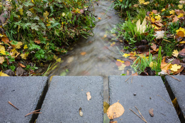 istock small creek intense flowing viewed from wooden bridge 923174034