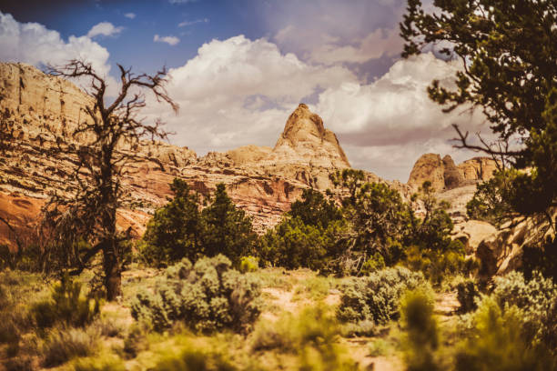 istock Scenics in the Capitol Reef National park, Utah 923177794