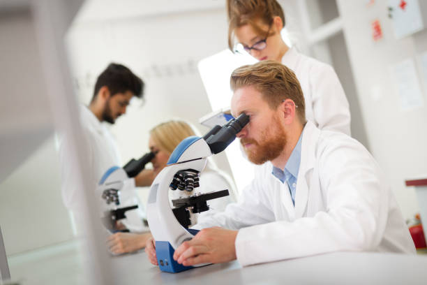 istock Group of students working at the laboratory 923189808