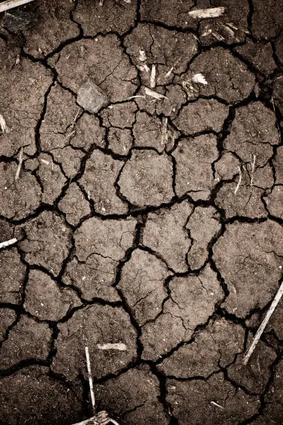 Closeup of dry cracked earth background.