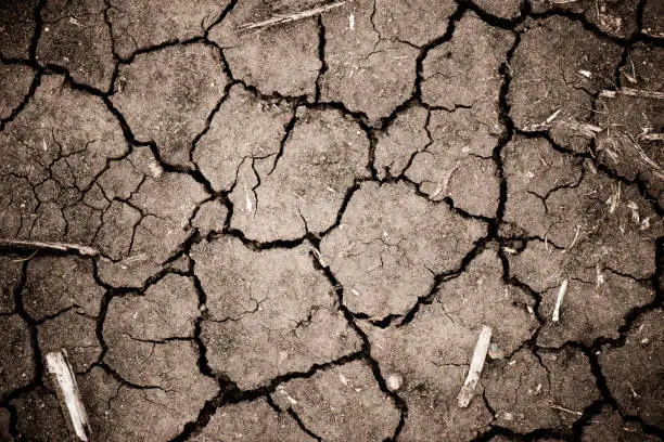 Closeup of dry cracked earth background.