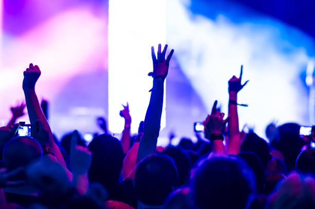istock Crowd At Music Concert 923212314