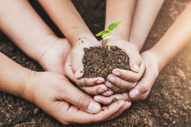 istock concept eco hand helping holding protection young plant 923212636