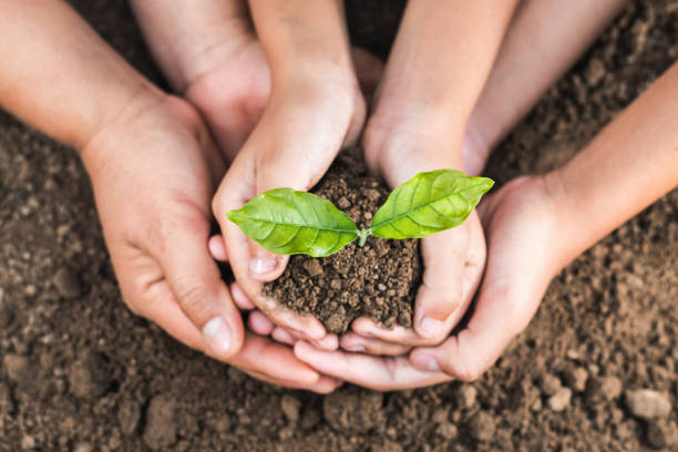 istock concept eco hand helping holding protection young plant 923212858