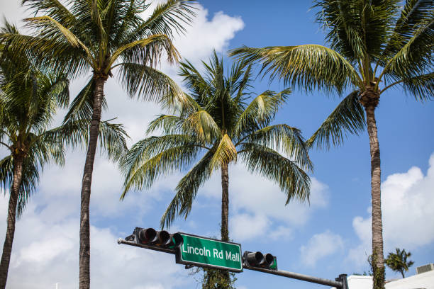 istock Lincoln Road palm trees 923215490