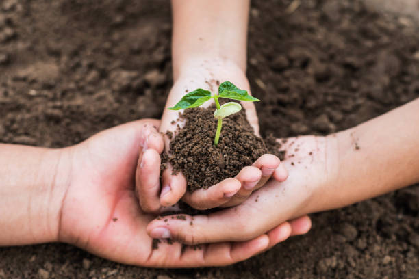 istock concept eco hand helping holding protection young plant 923216600