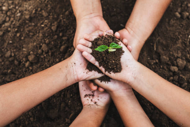 istock concept eco hand helping holding protection young plant 923216938