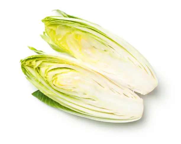 Chicory isolated on white background. Top view