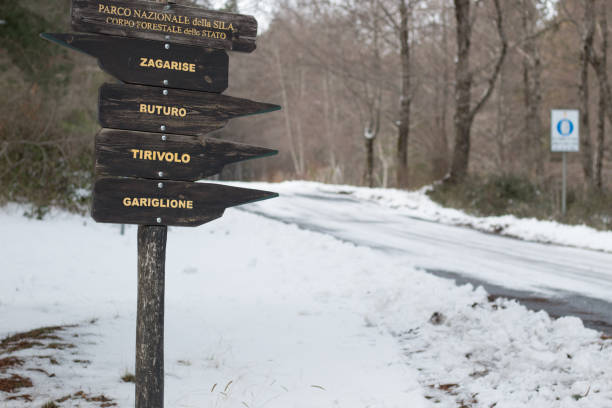 istock Signpost by snow covered forest road - 