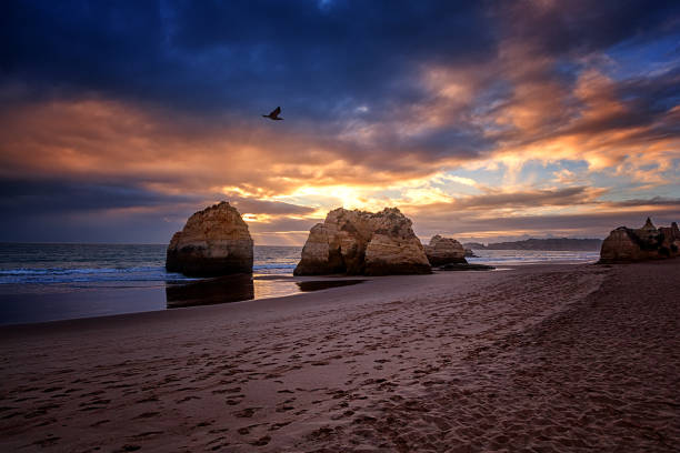 Algarve beach at sunset Atlantic coast at sunset, Algarve, Portugal. Stunning beautiful landscape luz solar stock pictures, royalty-free photos & images