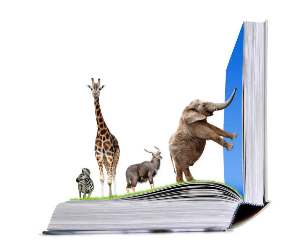 istock Open book of nature with animals. 923222198