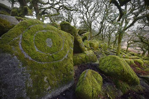 Ancient and mysterious patterned circles (eye pattern) marked into the granite boulder stone and moss in Wistman's Wood on Dartmoor, Devon England. Possibly left there by Druids or practisers of ancient religion.