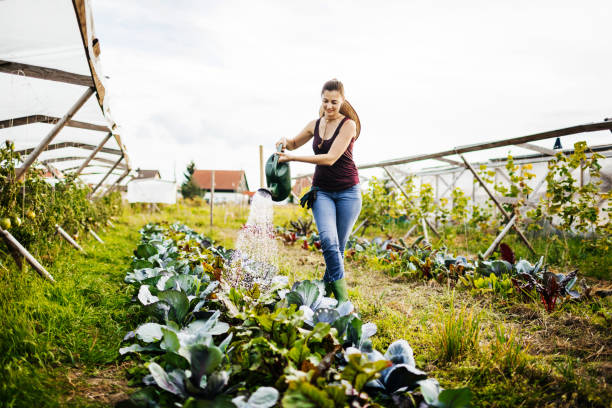 joven granjero urbano, riego de cultivos orgánicos a mano - watering place fotografías e imágenes de stock