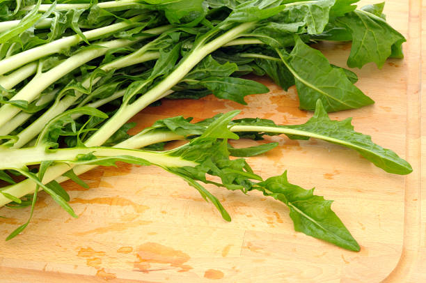 Puntarelle variety of chicory, used in Italy for salad, close up on green leaves, from above on wooden board
