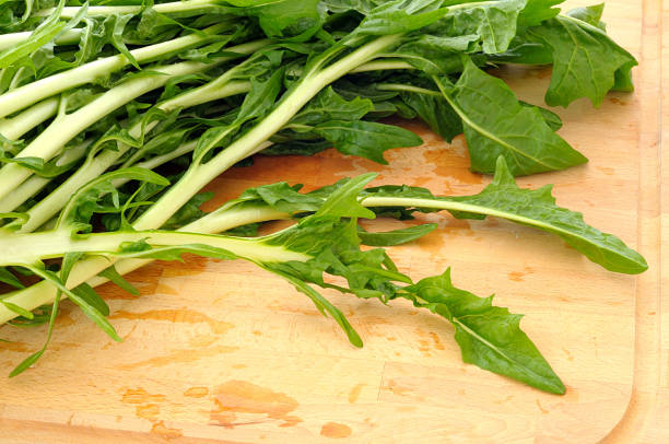 Puntarelle variety of chicory, from above stock photo