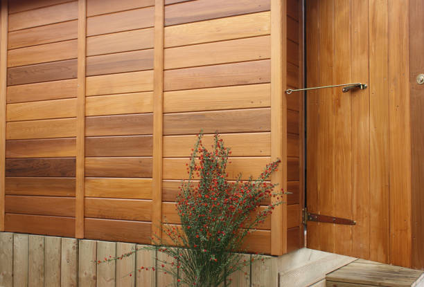 istock Sauna cabin from the outside 923229048