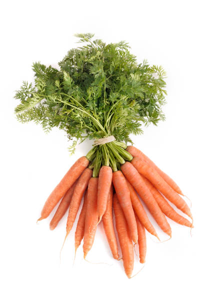 istock fresh bunch of carrots isolated 923229428