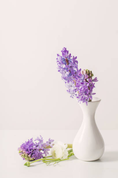 Bouquet of Beautiful violet hyacinths. Flowers on gray light table background.