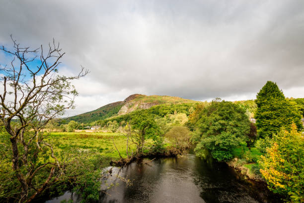 istock Beautiful meadows in Scottish Highlands 923246470