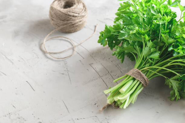 istock Bunch of parsley on grey concrete background 923246574