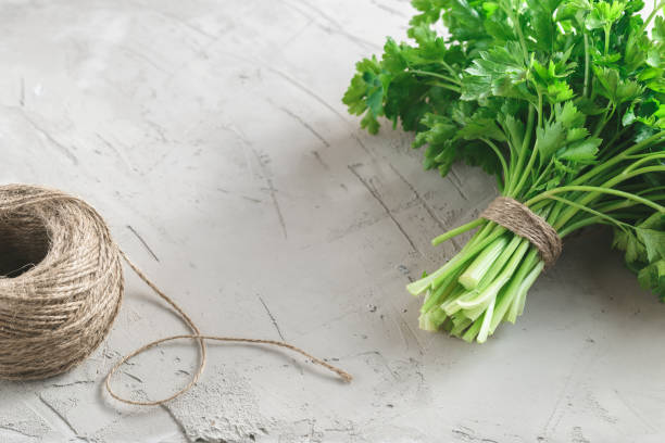 istock Bunch of parsley on grey concrete background 923246654