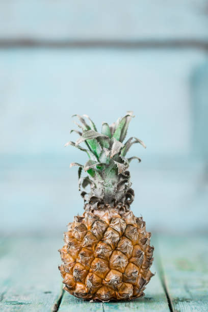 Ripe baby pineapple on a wooden background, tropical fruits