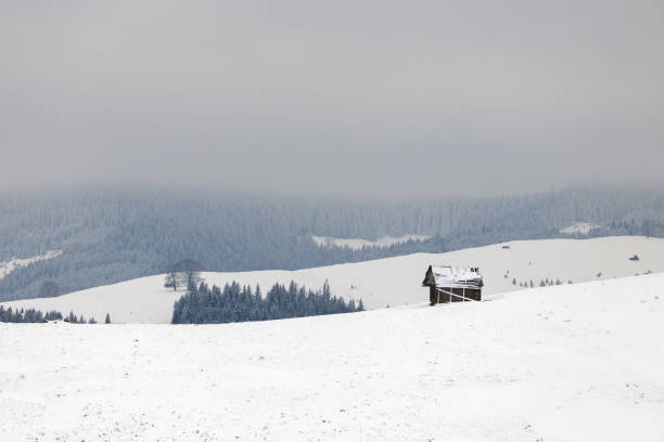 istock Rural landscape of the romanian sheepfold 923255502